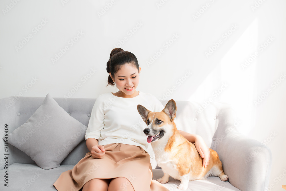 美丽的年轻亚洲女孩在家里坐在沙发上和她的柯基犬玩耍