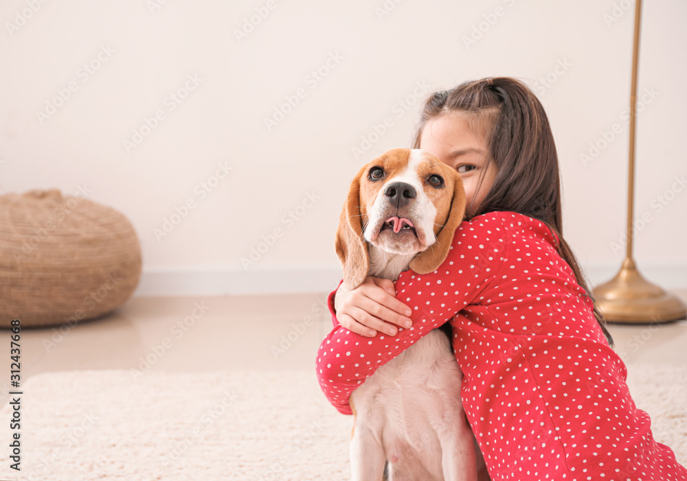 家里有可爱的比格犬的亚洲小女孩