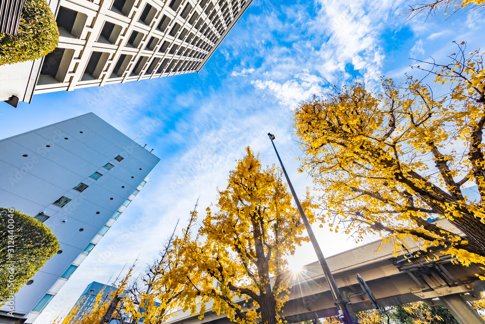 都会のビル群と紅葉した木