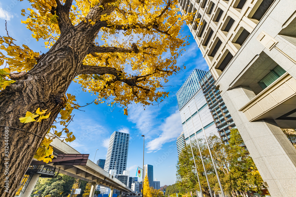 都会のビル群と紅葉した木