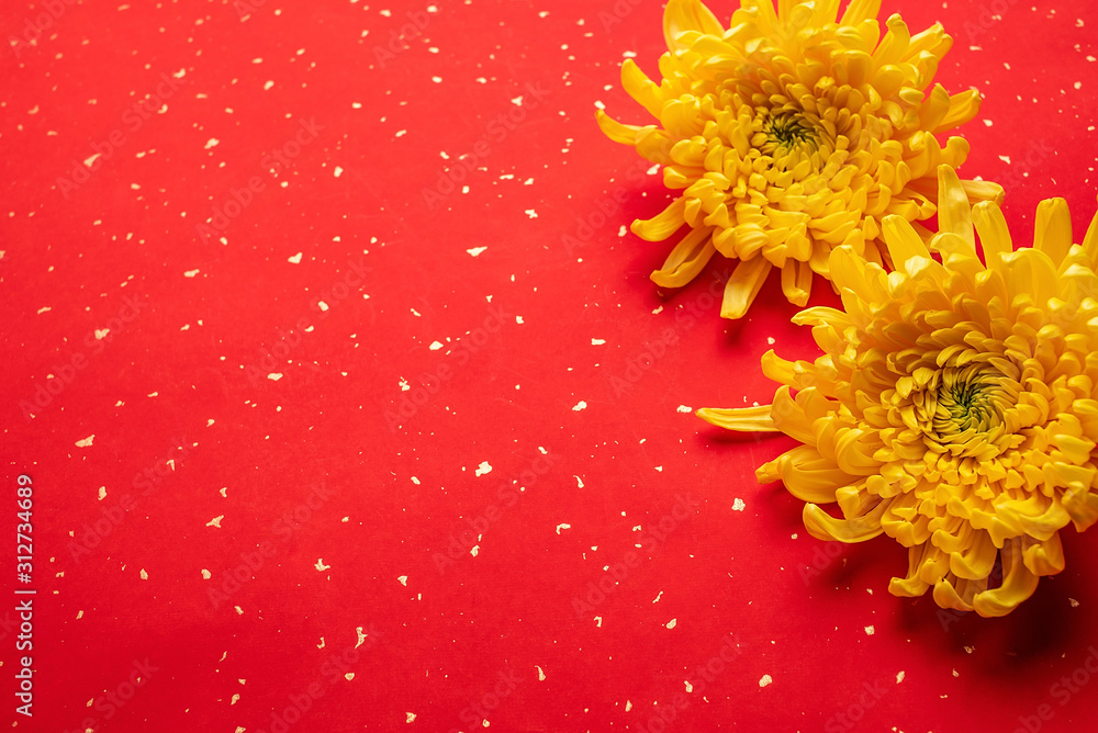 Beautiful golden yellow chrysanthemum sprinkled on red paper