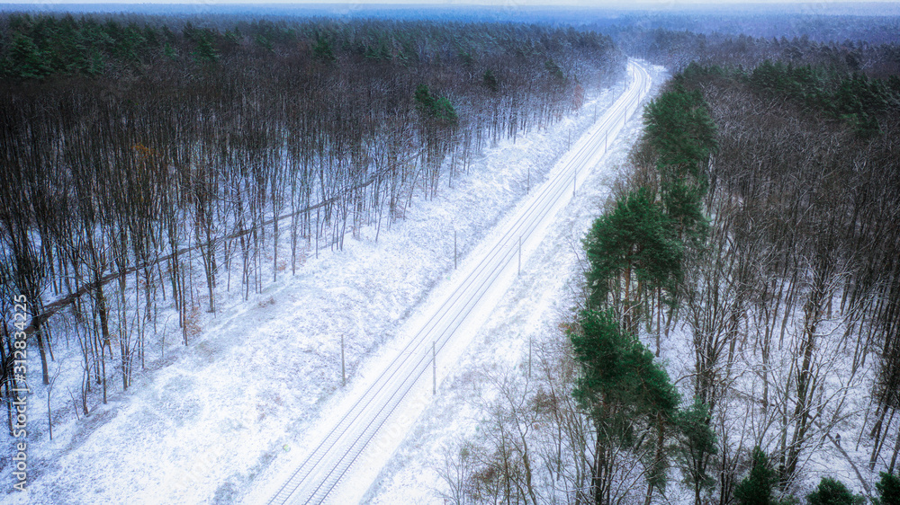 白雪覆盖的铁路穿过一片松林。