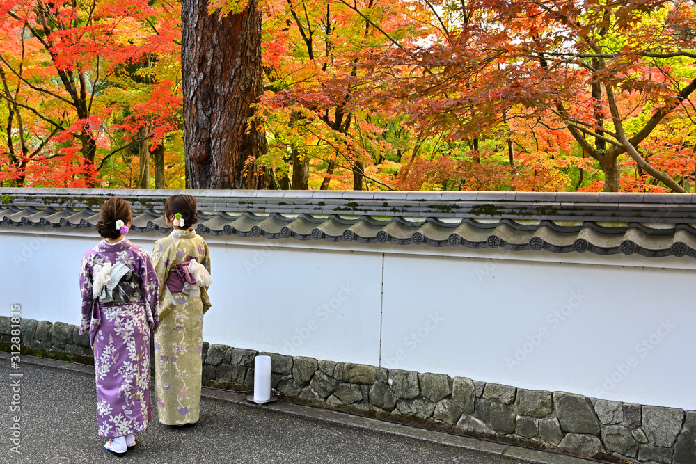 紅葉狩りする着物の女性