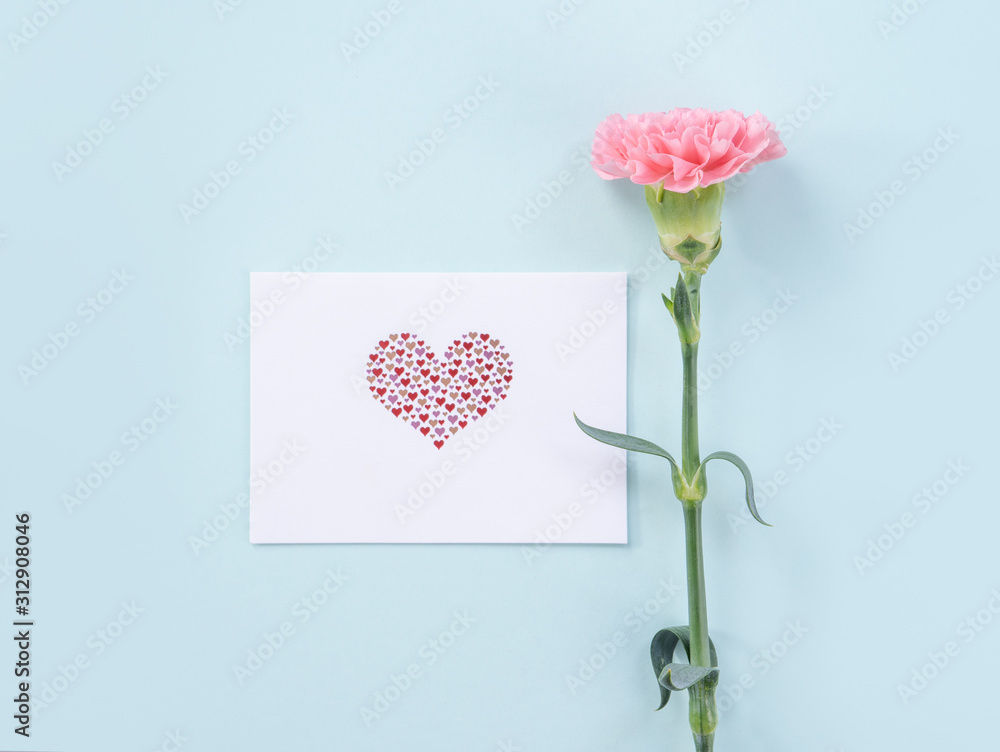 Beautiful, elegant pink carnation flower over bright light blue table background, concept of Mother