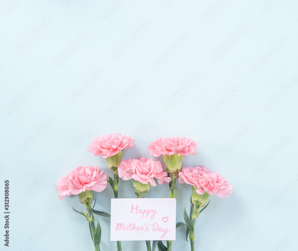 Beautiful, elegant pink carnation flower over bright light blue table background, concept of Mother