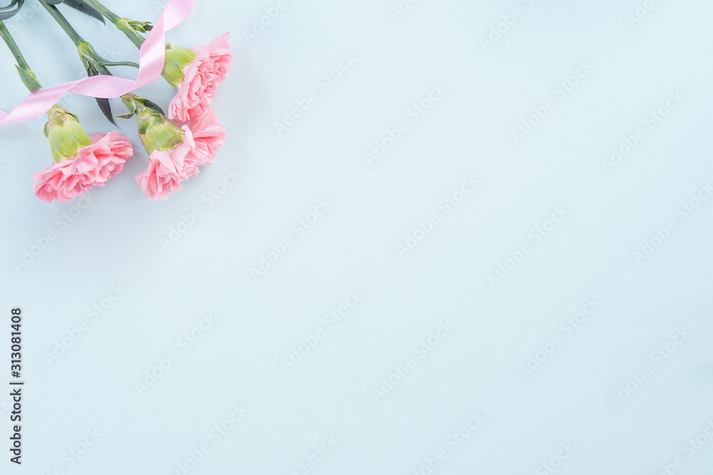 Beautiful, elegant pink carnation flower over bright light blue table background, concept of Mother