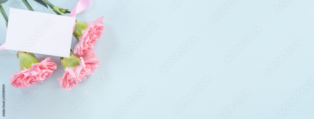 Beautiful, elegant pink carnation flower over bright light blue table background, concept of Mother