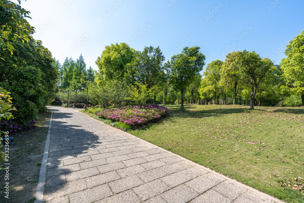 road in park