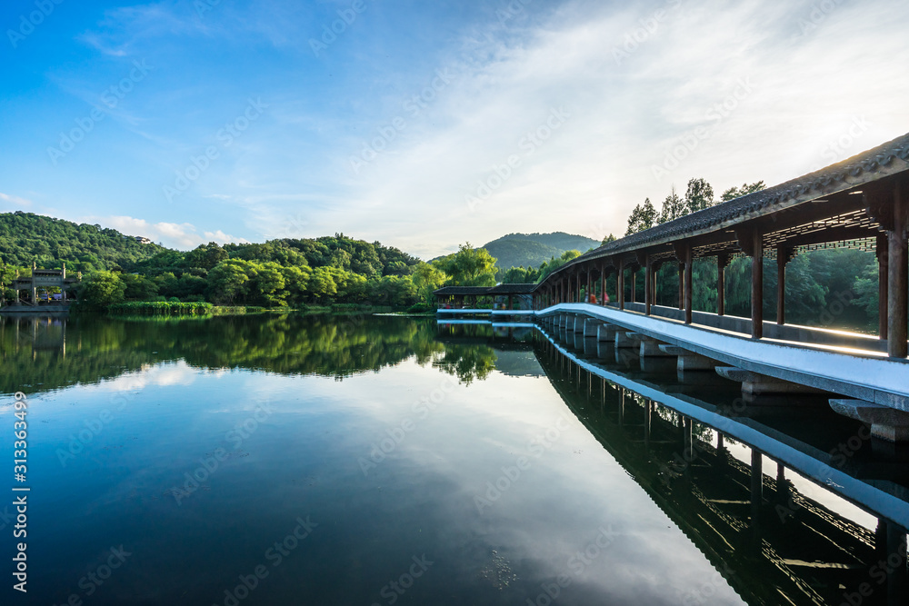 lake in forest