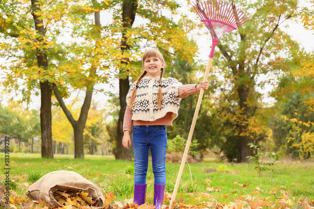 Little girl cleaning up autumn leaves outdoors