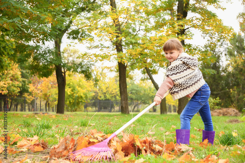 Little girl cleaning up autumn leaves outdoors