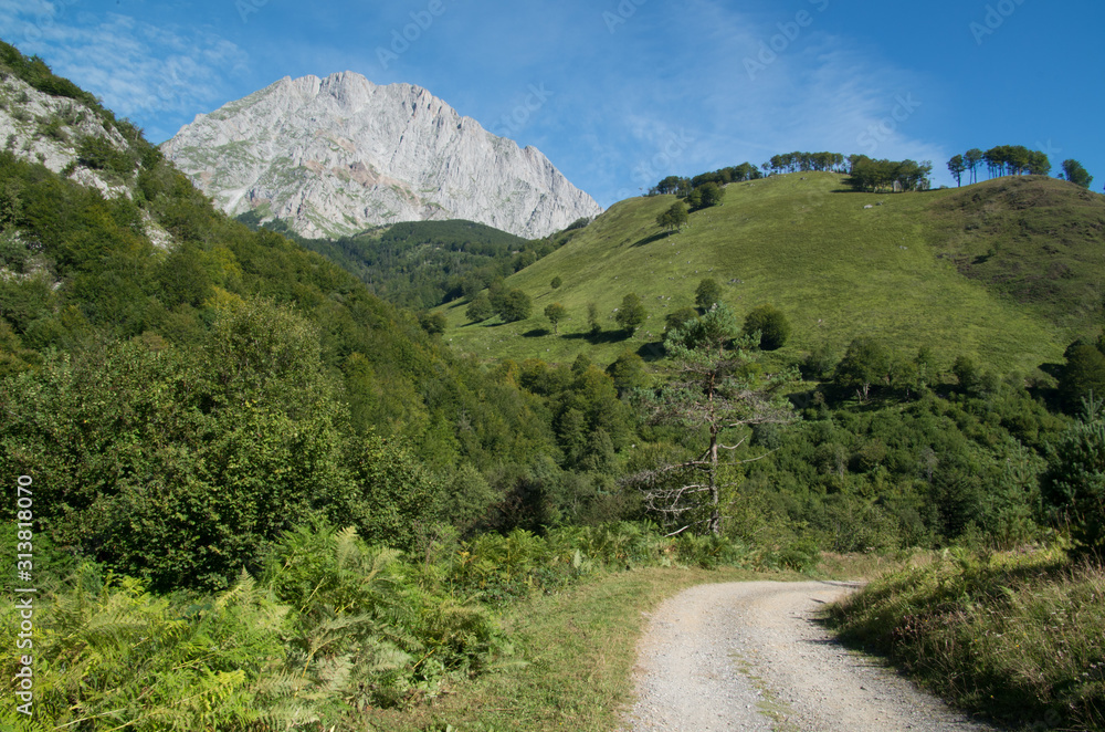 山景