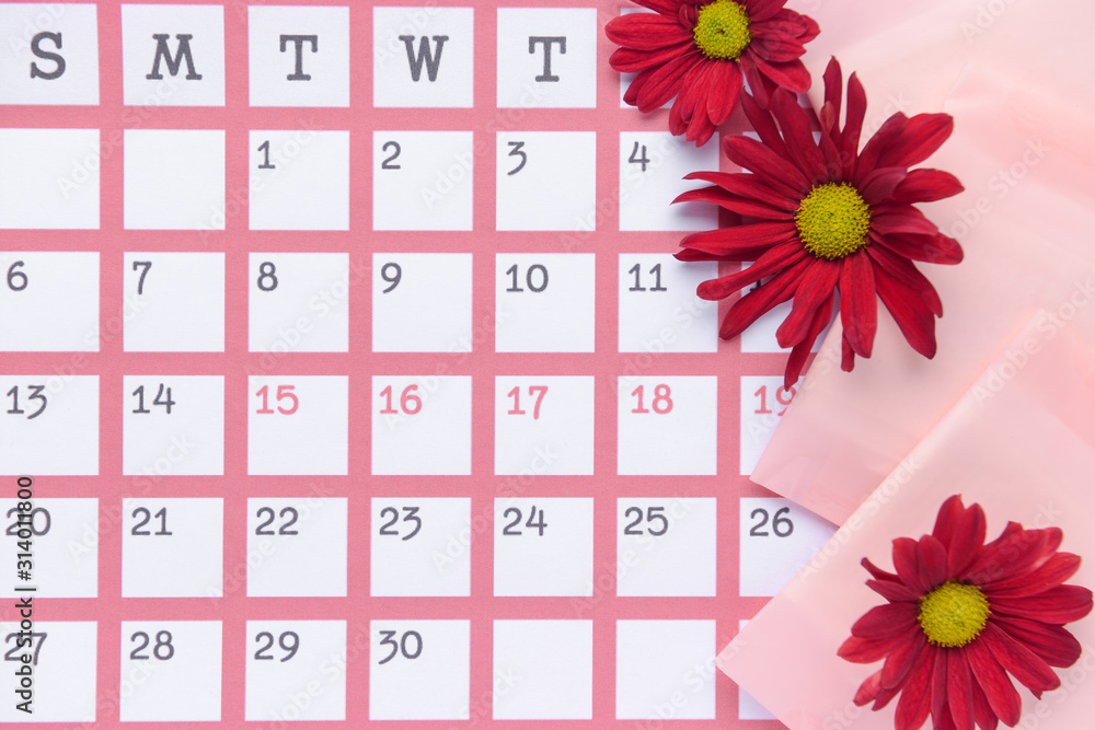 Menstrual calendar with pads, top view