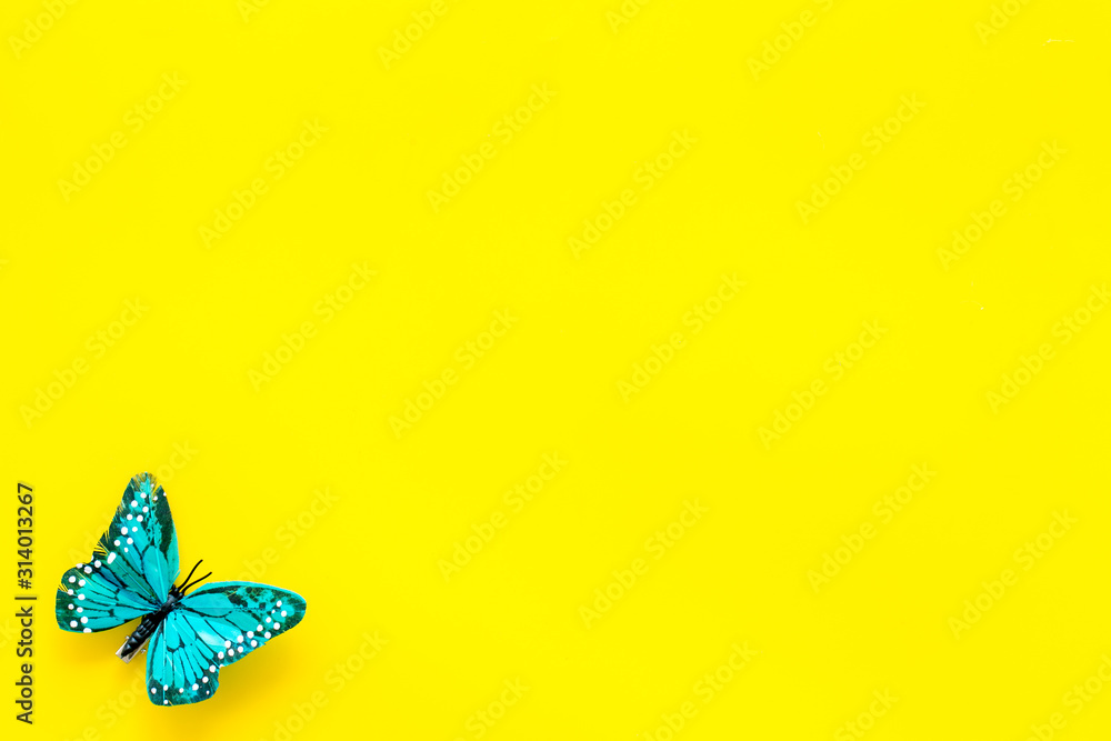 Beautiful tropical butterfly on yellow background top-down copy space