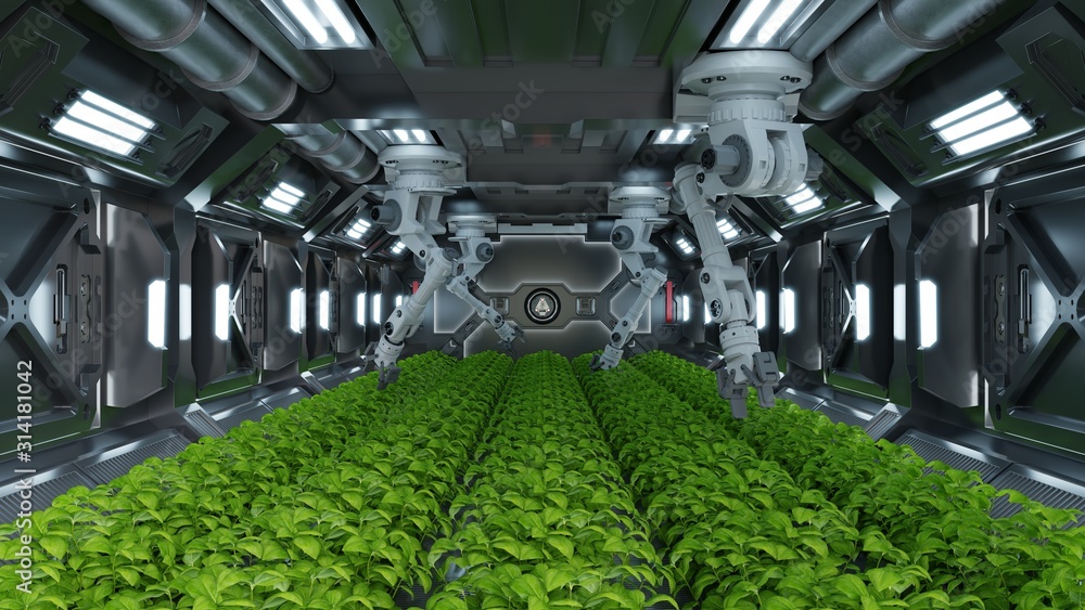 Robotic in agriculture futuristic concept.