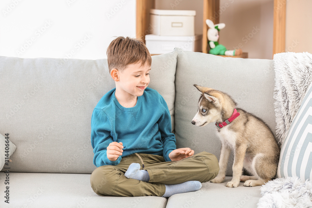 Little boy with cute husky puppy on sofa at home