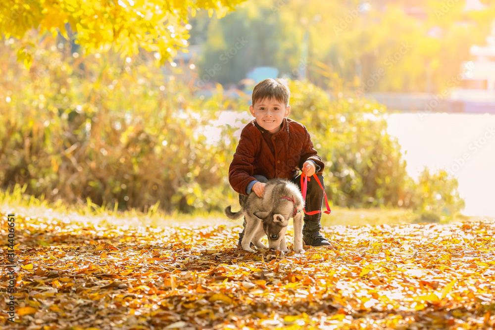 Little boy walking with cute husky dog in autumn park