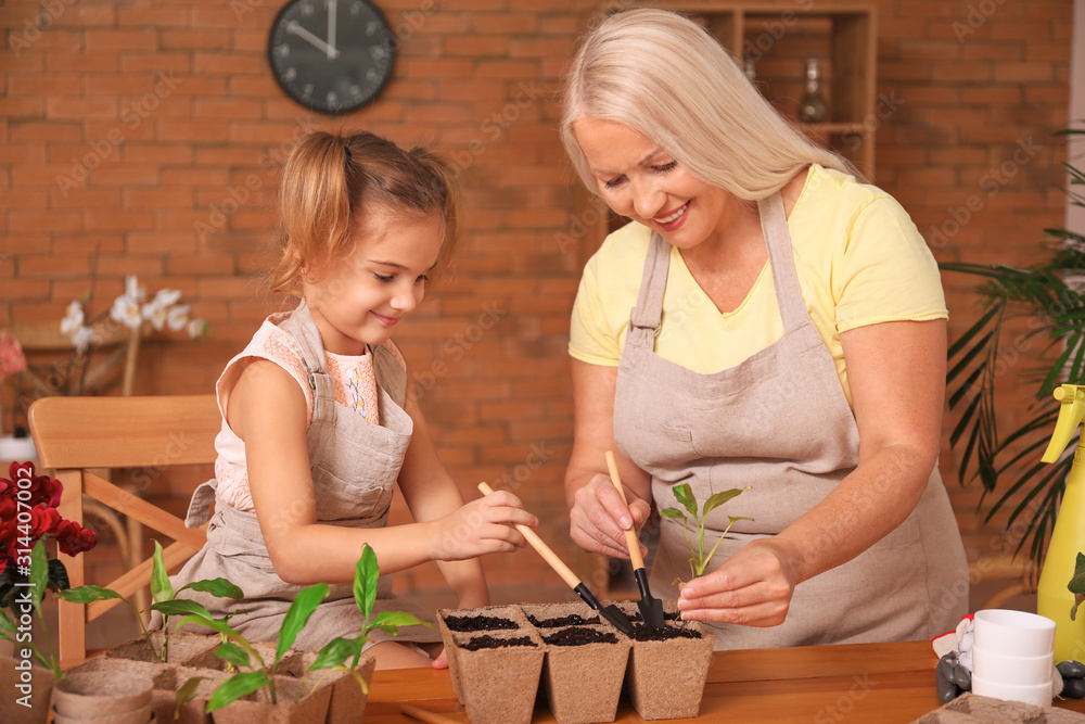 Cute little girl with grandmother setting out young plants in pots at home