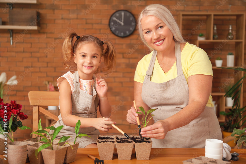 Cute little girl with grandmother setting out young plants in pots at home