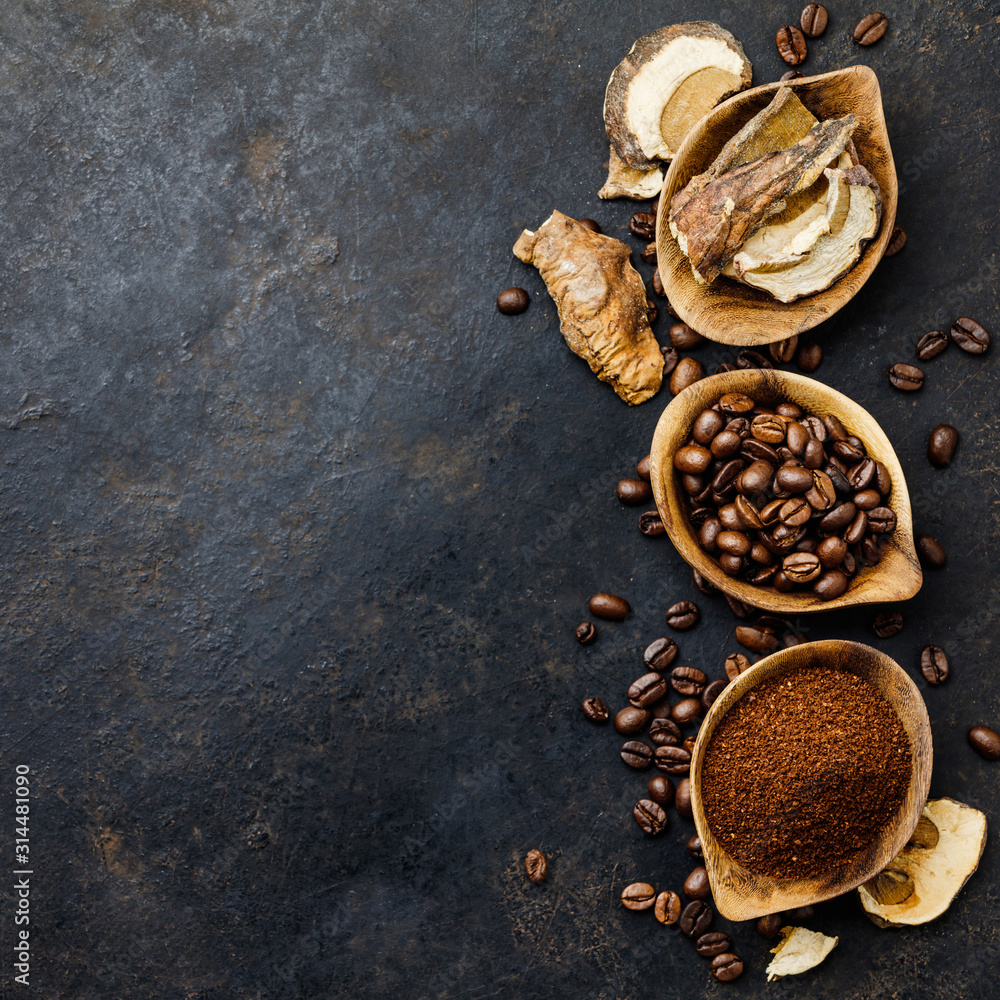 Mushroom Chaga Coffee Superfood Trend-dry and fresh mushrooms and coffee beans on dark background