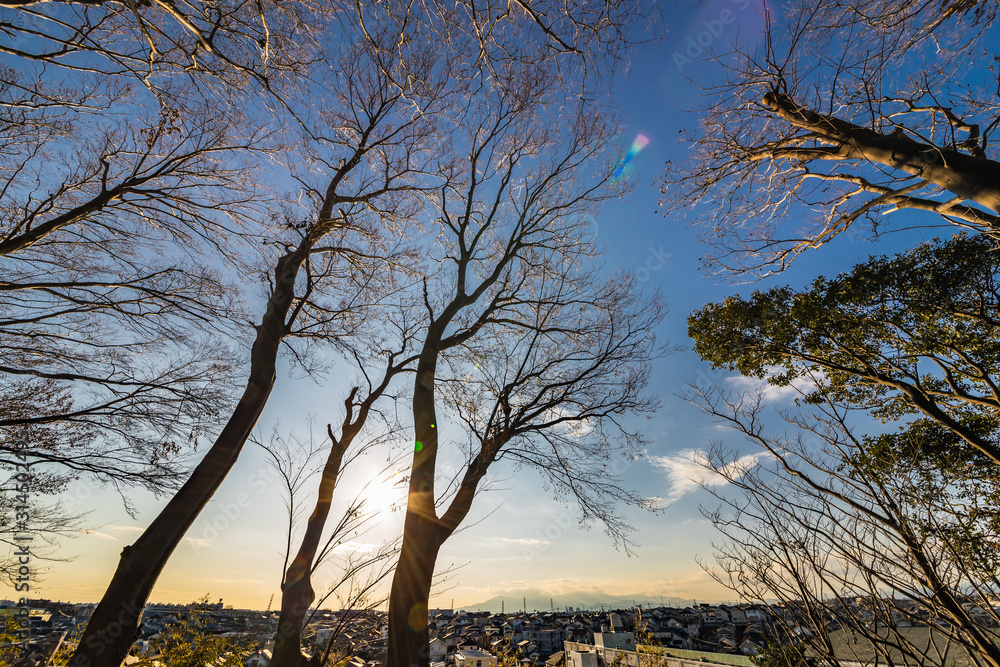 丹沢山地が見える横浜郊外の夕景