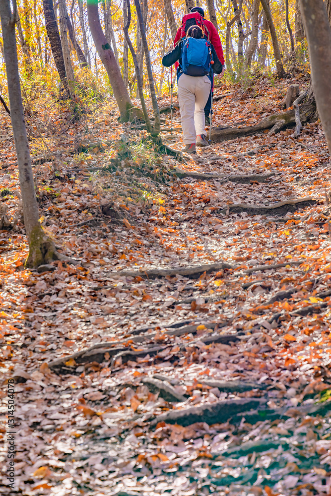 落ち葉の登山道