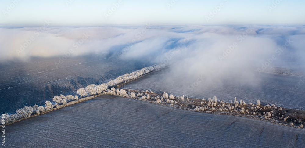 冬季景观。空旷的农田和被雪覆盖的树木。