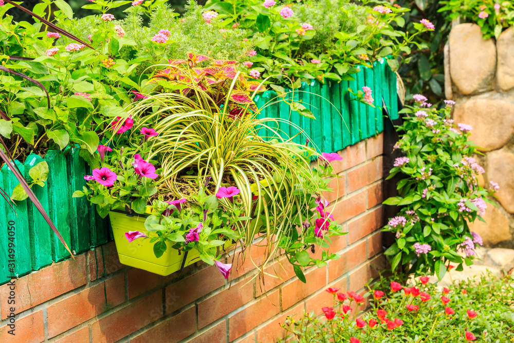 Quiet garden and beautiful blooming flowers.