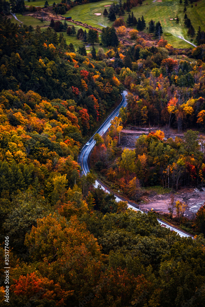 aerial view of road in city