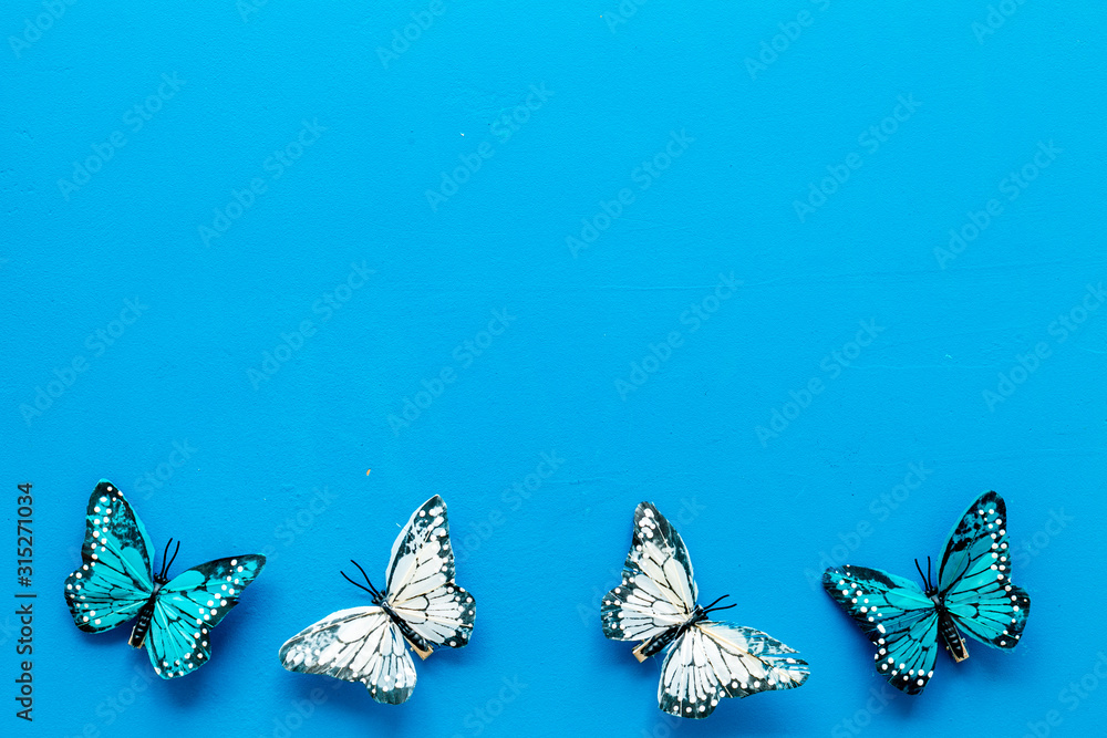 Butterfly - colorful and bright set - on blue background top-down frame copy space