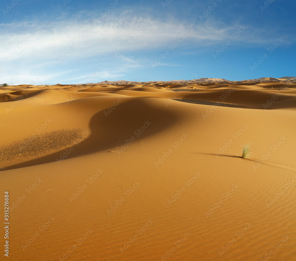 sand dune in the sahara desert in morocco