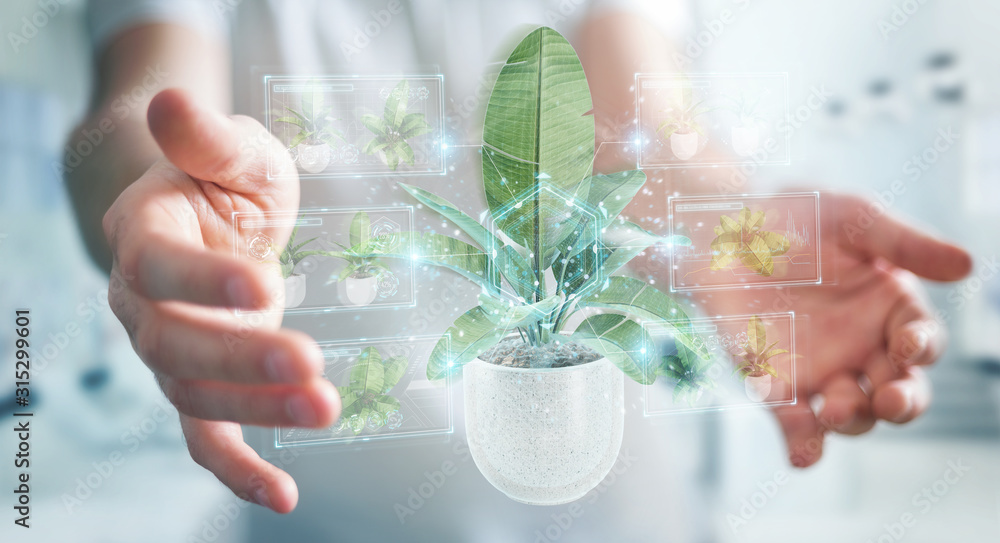 Man holding and touching holographic projection of a plant with digital analysis 3D rendering