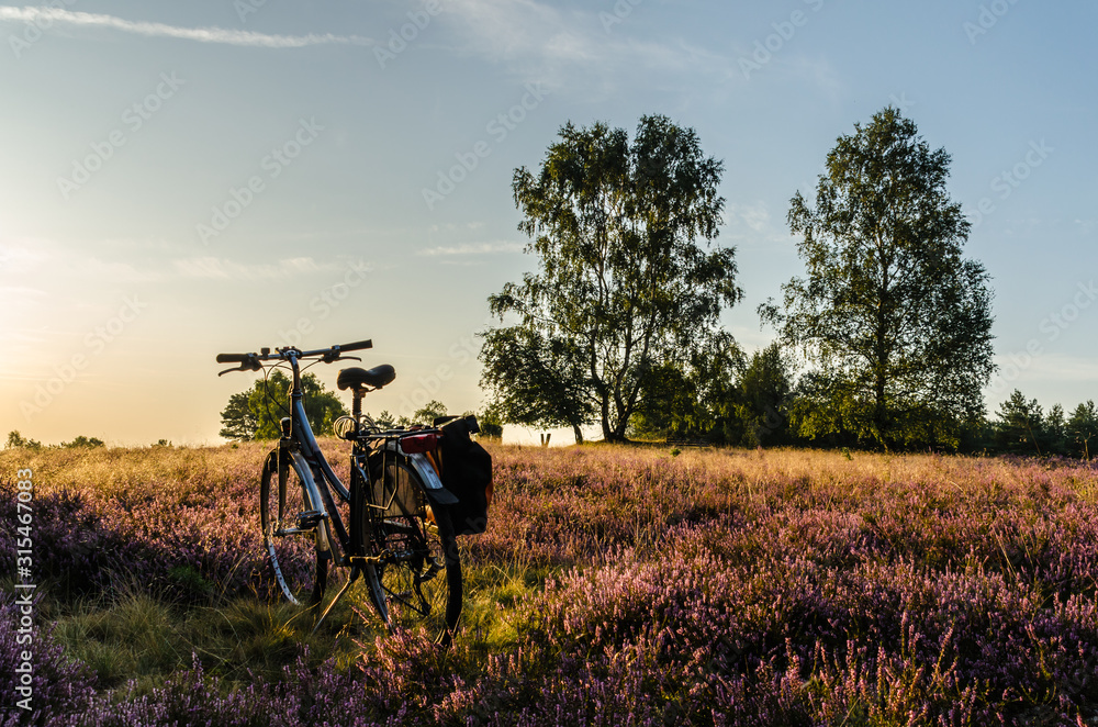 Fahrradfahren in der Lüneburger Heide