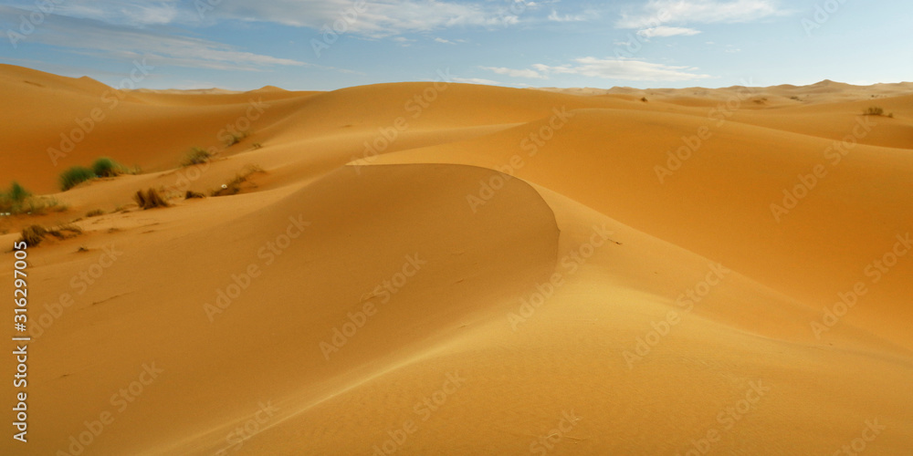 sand dune in the sahara desert 