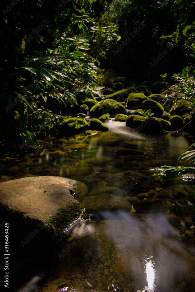 A small stream illuminated by the moonlight within the Atlantic Forest. Rio de janeiro, Brazil