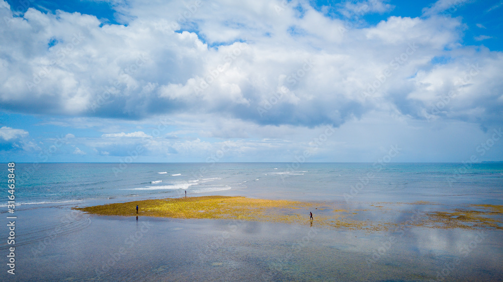 Tourists walking on the exposed coral barrier at Algodões beach, on the Maraú peninsula. Bahia, Braz