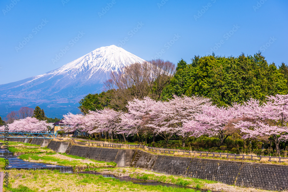 从静冈县农村看富士山