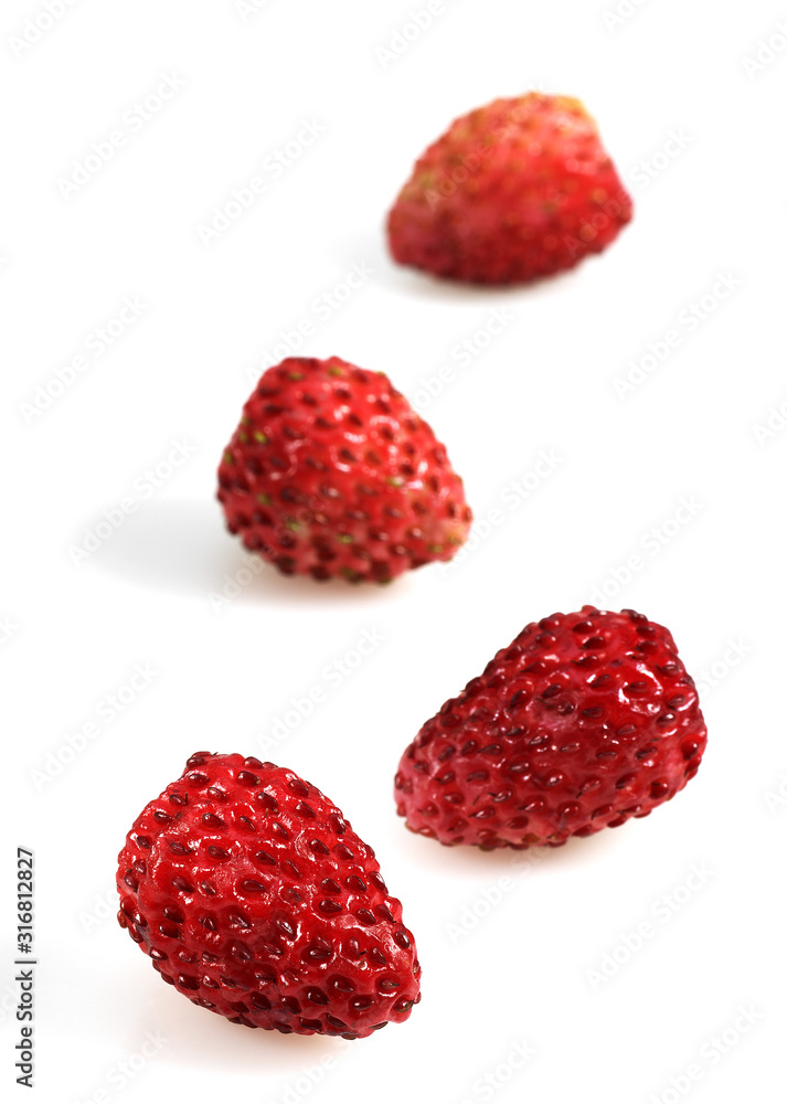 FRAISE DES BOIS