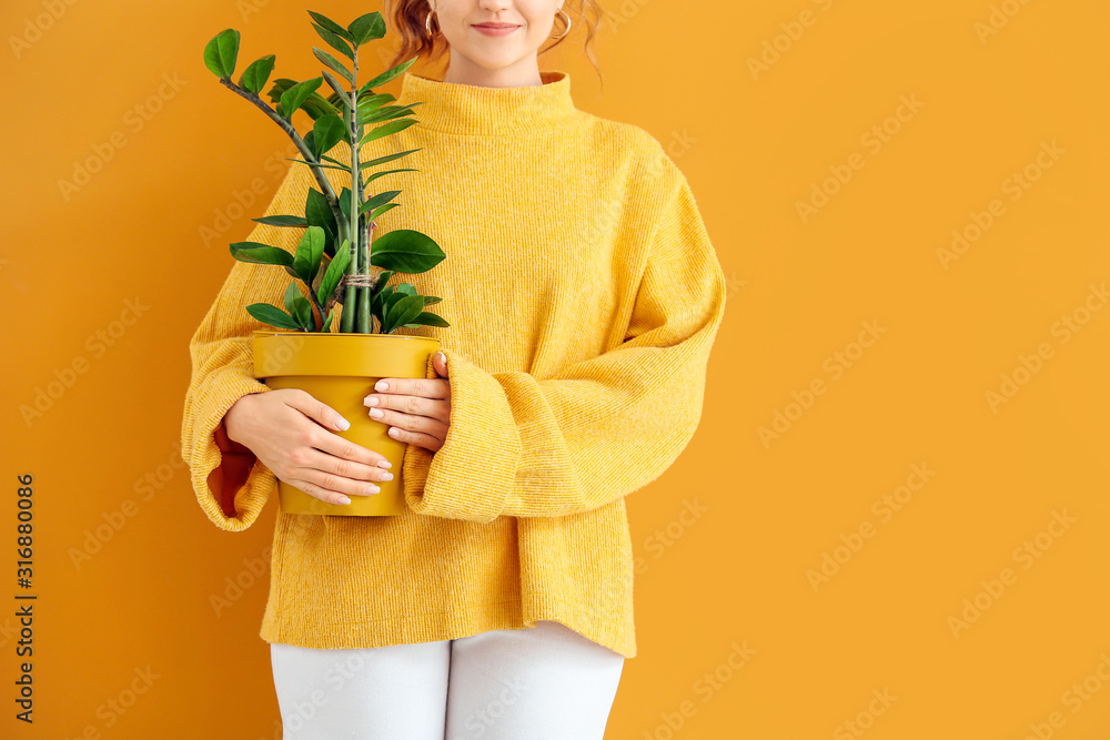 美丽的年轻女子，穿着温暖的毛衣，彩色背景上有室内植物