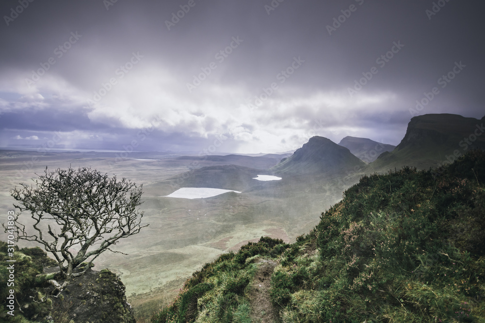 quiraing baum