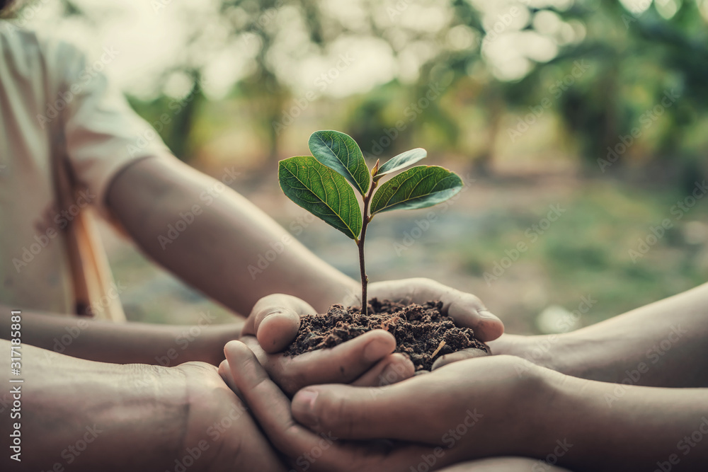 three hand holding tree for planting. concept earth day