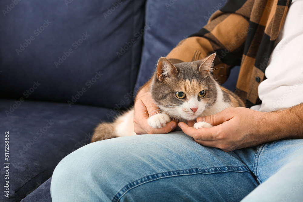 家里沙发上有只可爱猫的男人