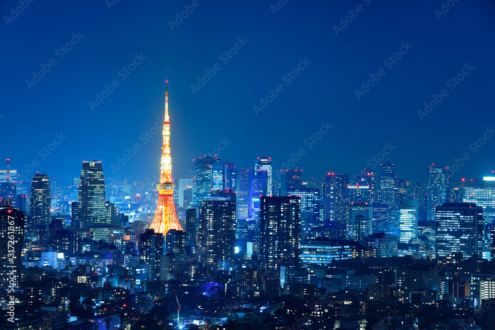 光が溢れる東京の夜景