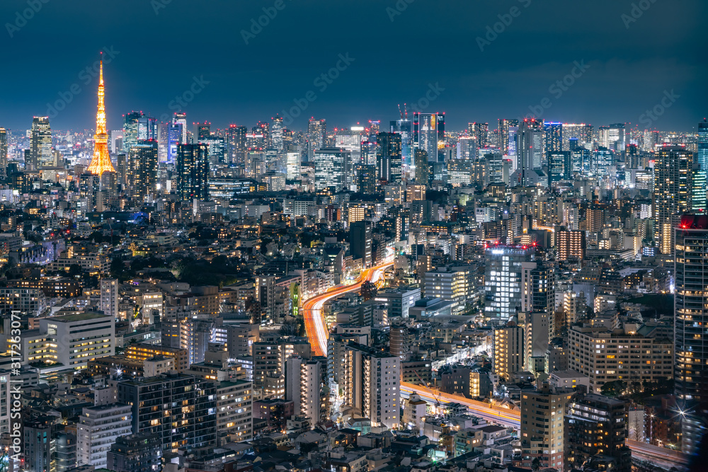 光が溢れる東京の夜景