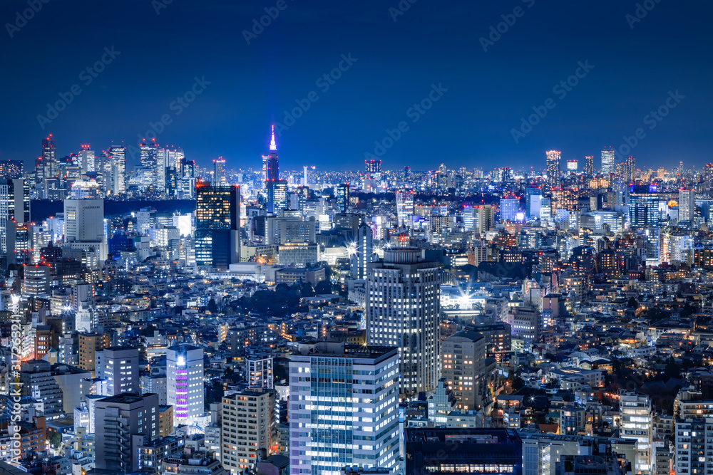 光が溢れる東京の夜景