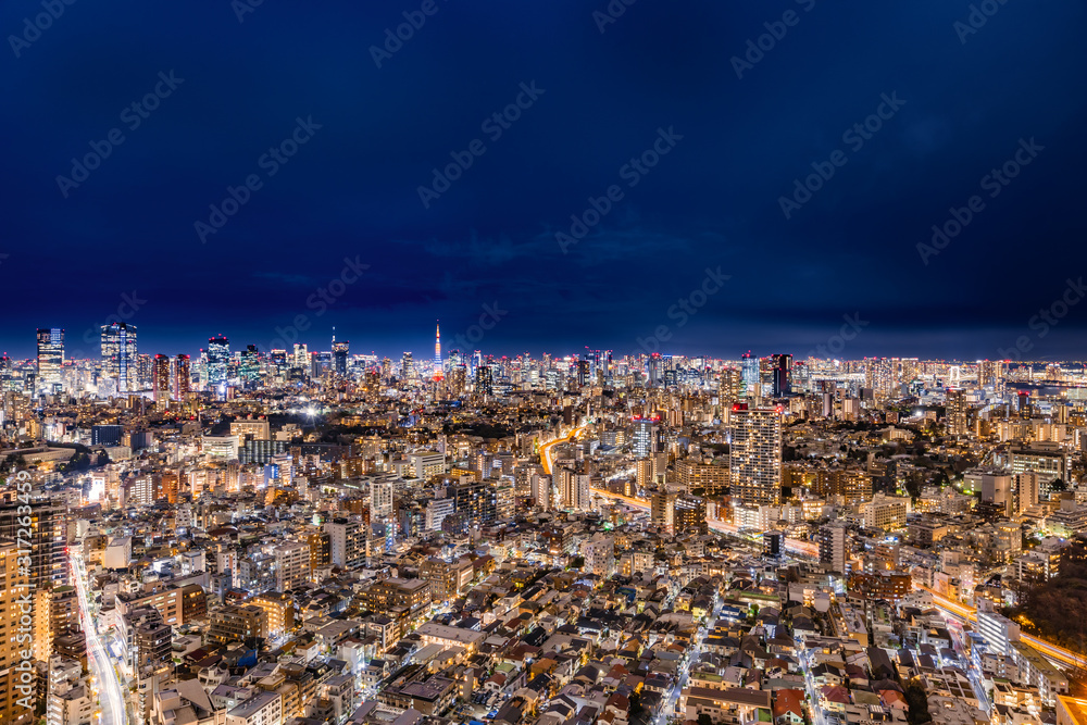 光が溢れる東京の夜景