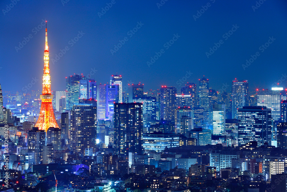 光が溢れる東京の夜景