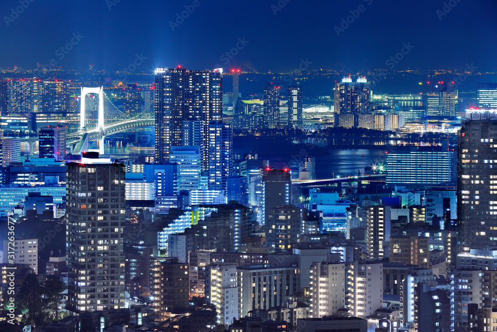 光が溢れる東京の夜景