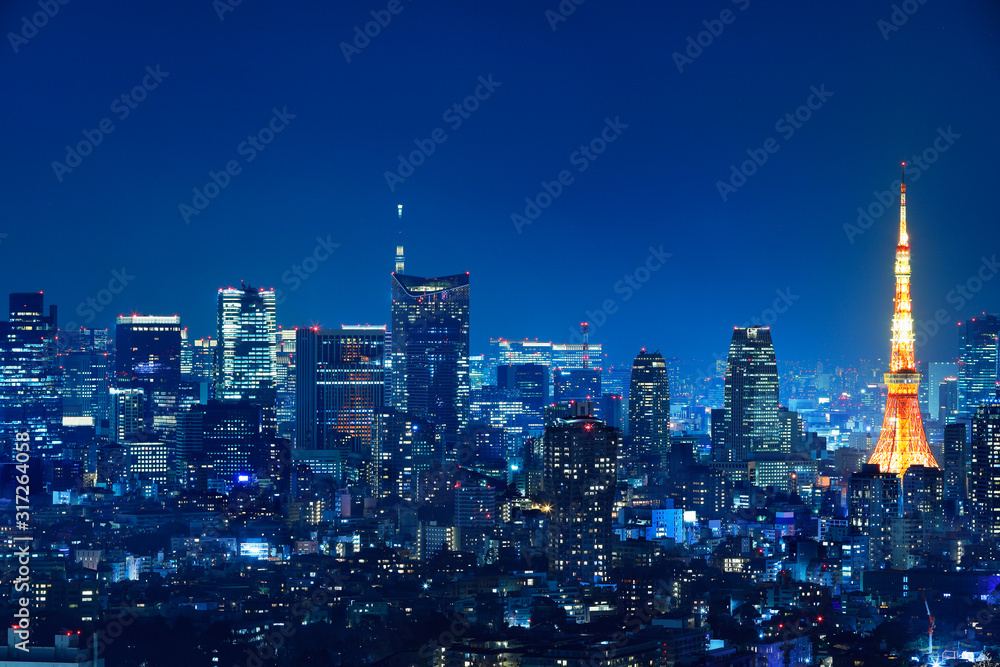 光が溢れる東京の夜景