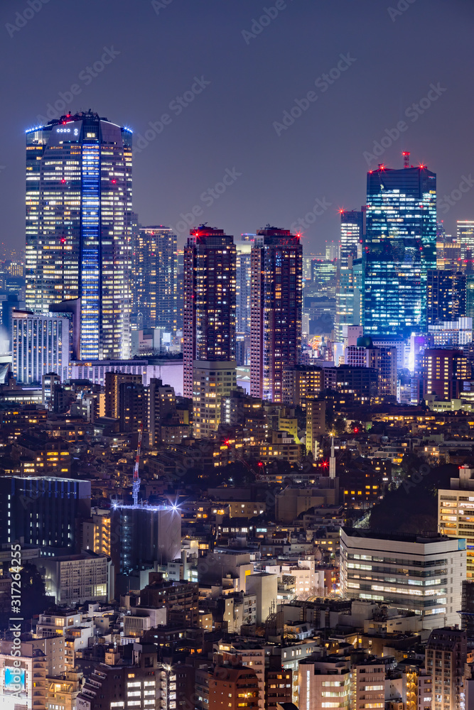 光が溢れる東京の夜景